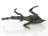 a bronze sculpture of a crab on a white surface