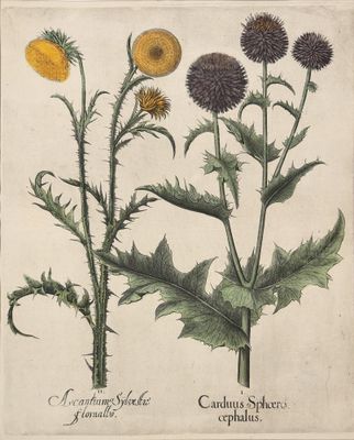 un dessin représentant un bouquet de fleurs posé sur une table