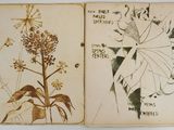 an old book with a drawing of a plant and a picture of a bird