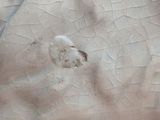 a close up of a white plate with a cracky surface