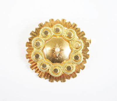an image of a gold brooch with a star in the center