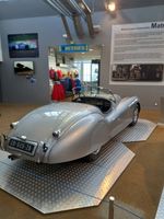 Jaguar (photo 3)