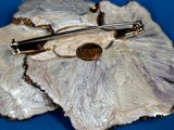 a picture of a brooch with a pin on it