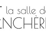 Photo 1/1 du lot