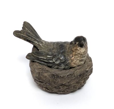 a bird that is sitting on top of a piece of wood