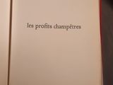 Photo 3/3 du lot