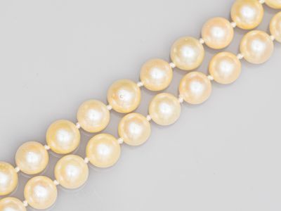 un gros plan d'un collier de perles sur une surface blanche