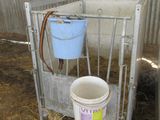 a bucket and bucket of water in a cage