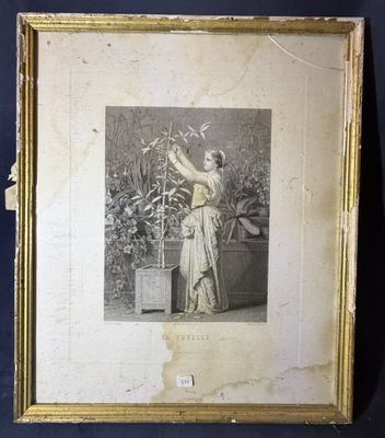une vieille photo d'une femme debout à côté d'une plante en pot