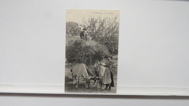 Types Creusois : En Creuse. Fin de Moisson. (ND 151). Carte très ...