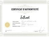 a certificate is shown with a gold medal on it