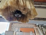 une photo d'un ventilateur de plafond qui a été arraché