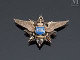 an image of a silver and blue badge with wings on a black surface