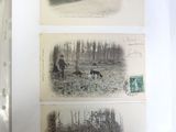 three pictures of horses and people in a field