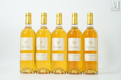 six bouteilles de vin sont alignées sur une surface blanche