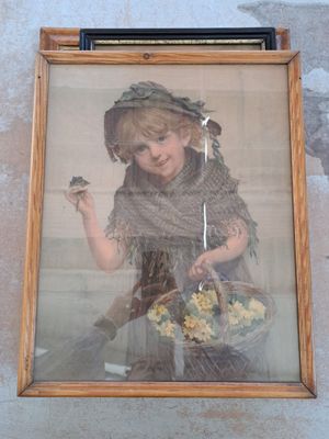 une photo d'une petite fille tenant un oiseau dans la main
