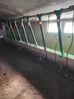 une longue rangée de balais dans une pièce