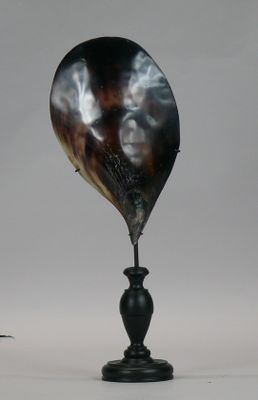 a large horn shaped object on a black stand next to a bird