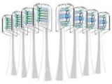 six brosses à dents alignées sur un fond blanc