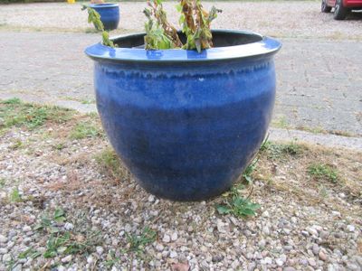 un pot bleu contenant une plante, posé par terre