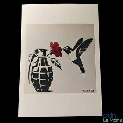 a picture of a hummingbird and a grenade with a flower in it