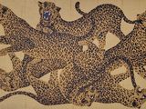 quatre guépards qui courent sur le sol