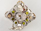 Photo 11/14 du lot