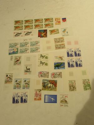 a person standing in front of a wall covered with stamps