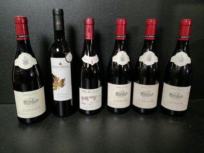 Lot de 12 bouteilles de vin rouge dont : Famille Perrin Peyr… - Photo 1