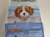 le chien est assis sur la table, à côté du sac de croquettes