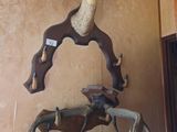 deux têtes de cerf accrochées au mur à côté d'une lampe