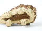 a figurine of a dog with a bone in it ' s mouth