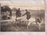 a picture of a couple of people and a dog in a cart