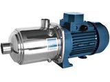 a close up of a pump on a white background