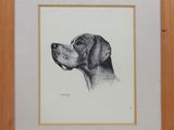 dessin représentant un chien noir et blanc dans un cadre en bois