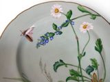 a plate with flowers and a butterfly painted on it