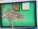 a box with a bunch of old tools in it