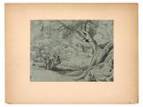 an old drawing of a tree in a wooded area