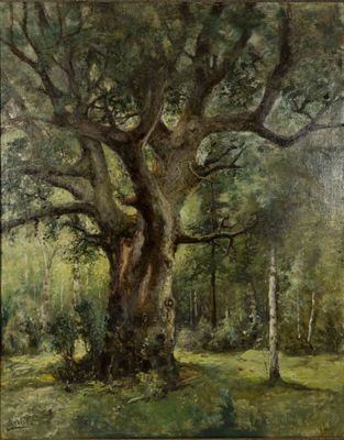 une image représentant un tableau d'un grand arbre dans une forêt