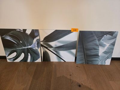 3 Reproductions sur métal "Botanic" Pirx unitaire TTC : 61,4…