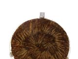 a brown and white object on a white surface