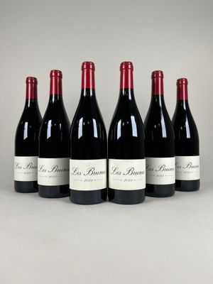 six bottles of red wine lined up in a row