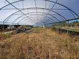 une grande serre contenant de nombreuses plantes