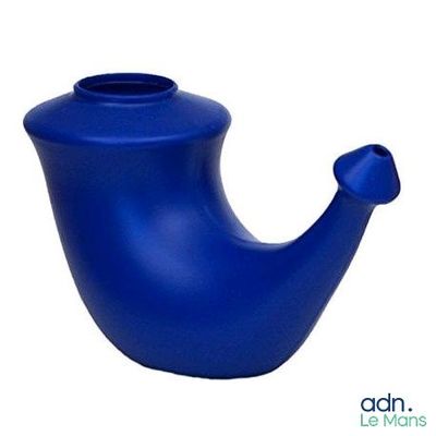 un vase bleu en forme de baleine