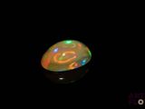 an oplite in the dark with a black background