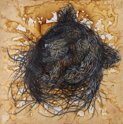 an image of a piece of art that looks like a piece of wire