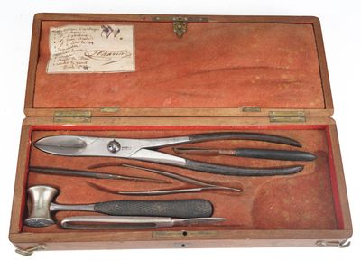une boîte en bois contenant des outils, posée sur une surface blanche