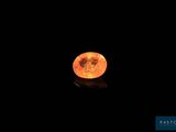 La pleine lune brille de mille feux dans le ciel nocturne.