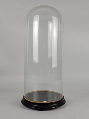 an image of a clear glass dome with a wooden base