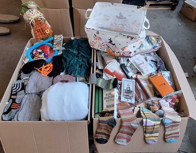 374 / 1 palette de 145 kg de mix (brosse pour radiateu… - Photo 1